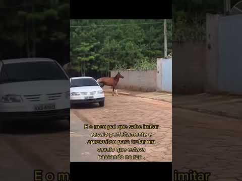 Trolou o cavalo na base da imitação de um relincho #cavalo #humor #comedia #fofo #amor