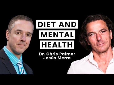 Dr. Chris Palmer // Diet and nutrition for anxiety and depression.