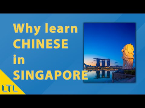 Learn Chinese in Singapore | What's it Like & Why Choose LTL?