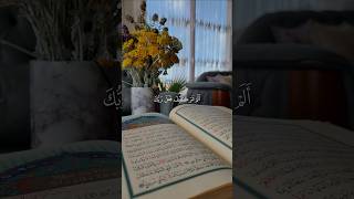 اسلام صبحي (سورة الفيل) #القرآن #المصحف