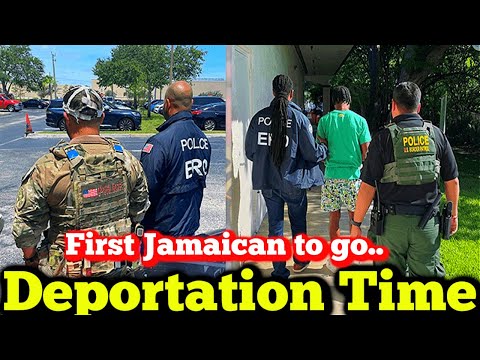 First Jamaicans to be Deported Nowhere Is Safe from Immigration Raids