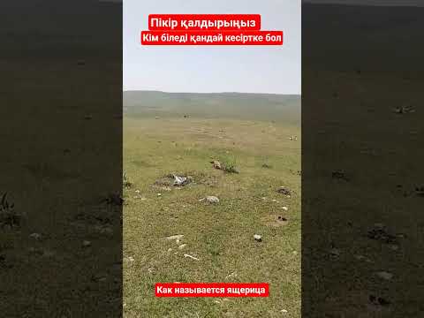 пишем комментарии