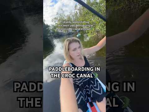 I paddleboard with my big potatoes, even when there’s a croc 🐊🥰 Videos of 10 foot croc on my page!