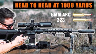 6mm ARC vs 223 at 1000 yards on a windy day - Lantac 6mm ARC