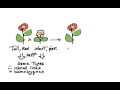 Mendelian Genetics Concepts