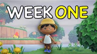 The First Week on my New Animal Crossing Island
