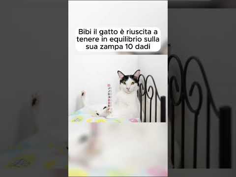 Record che non saranno mai piú battuti #shorts
