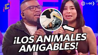 Estás en Todas: Turistas disfrutan de la cercanía de animales (HOY)