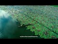 Understanding the Connection to the Land