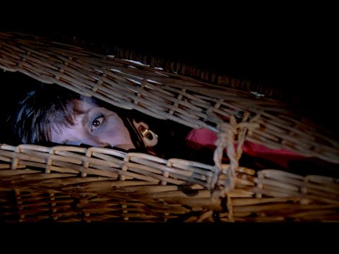 THE VICTIM (1972) | Full Length Thriller / Sci-Fi Movie | English