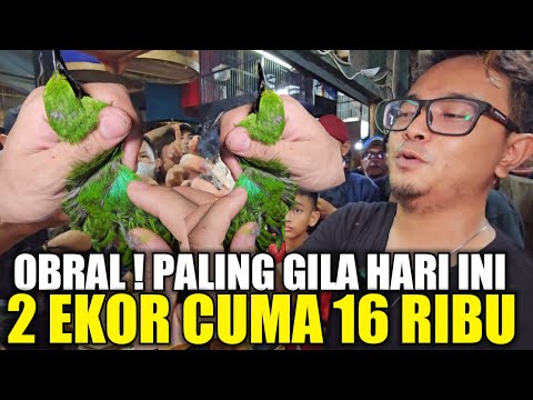 LEBIH GILA !!! RATUSAN KENARI DAN CUCAK IJO NOPENG DIJUAL DIBAWAH HARGA MODAL KIOS ALHAMDULILLAH