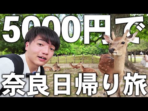 【ケチ旅行】予算5000円で奈良を満喫する日帰り旅！