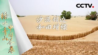 《绿水青山中国答卷》沙漠锁边 和田增绿：从“锁边”到“增绿” 和田书写的人与自然和谐共生的绿色篇章【CCTV纪录】