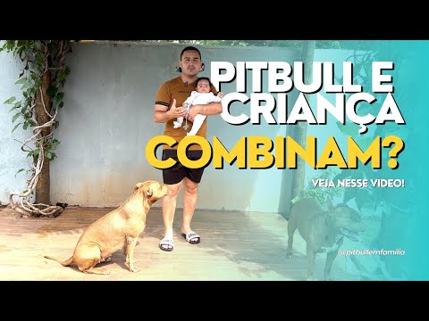 PITBULL E CRIANÇA DA CERTO ? 🤔 #ASSISTAM !