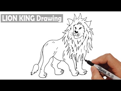 How To Draw​​ A Lion King Step By Step