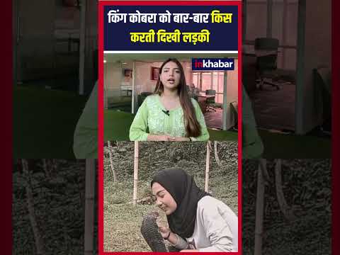 किंग कोबरा को बार-बार किस करती दिखी लड़की, Video Viral | Inkhabar | Latest Hindi News |