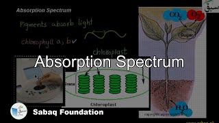 Absorption Spectrum