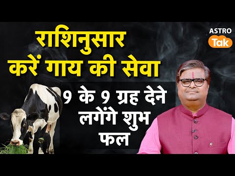 Navgrah Upay Accroding To Zodiac Sign: राशिनुसार करें गौ की सेवा 9 के 9 ग्रह देने लगेंगे शुभ फल | SJ