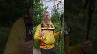 Camino bez grupy? To posłuchaj. #camino #podróże #mypielgrzymi