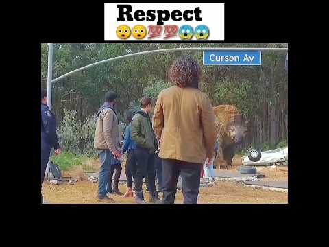 Respect