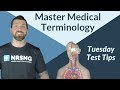 Understanding Medical Terminology Roots and Suffixes