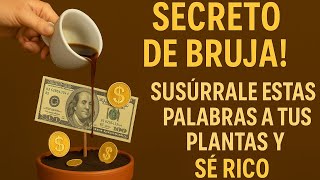 ES INCREÍBLE! Este SECRETO de tus PLANTAS te hace RICO en AMOR, SALUD y DINERO #diosamadre #ritual 