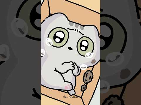 버려진 고양이의 속마음