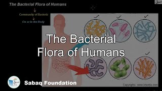 The Bacterial Flora of Humans