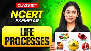 LIFE PROCESSES Complete Revision | NCERT Exemplar | Class 10th