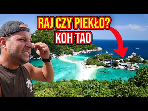WYNAJĄŁEM MIESZKANIE NA TROPIKALNEJ WYSPIE ! ZACZYNAM KURS DIVE MASTER !