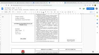INFORME   HOJA N° 1