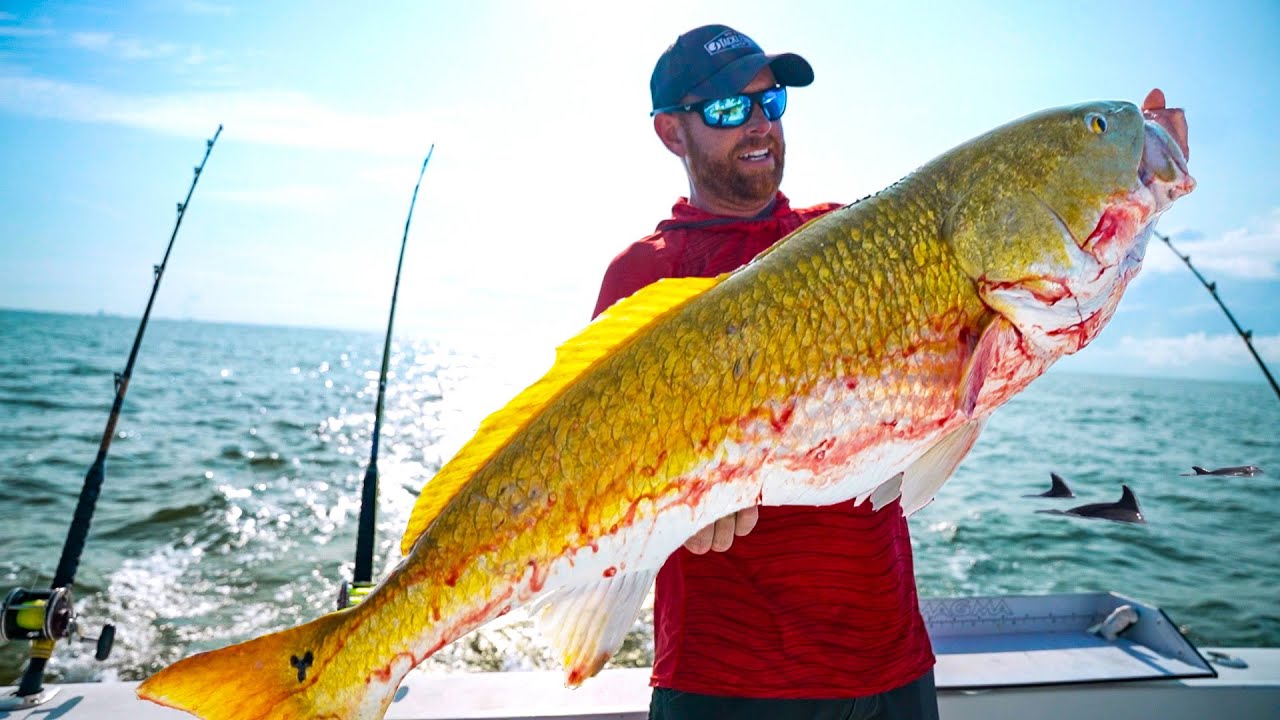 Using DOLPHINS to Find GIANT Redfish Offshore (CATCH CLEAN COOK) #FieldTrips Mississippi