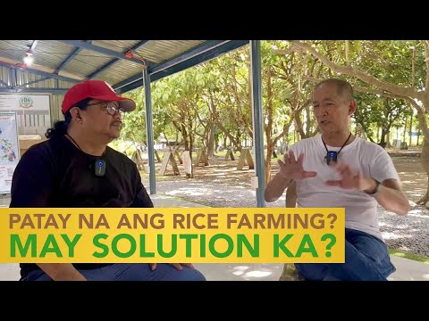 Patay na nga ba ang Rice Farming? Palay Laging Bagsak Presyo - May Solution ka?