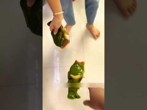 🥿👞 “¡Un zapato tuyo y uno mío! 🤣 ¡Vamos a buscarlos!”