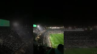 Espectáculo de luces previo al Real Betis- Real Sociedad 1/2 #realbetisbalompie #football