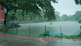 সরকারি আজিজুল হক কলেজ, বগুড়া বিকাল বেলার অপুর্ব সৌন্দর্য 🥰কিছুটা মহুত্য বন্ধুদের সাথে আড্ডা