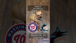 Cujo’s MLB Picks | Washington Nationals vs Miami Marlins ⚾ 08-23-2026 #CujoCatches