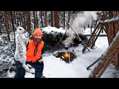 Surviving -28C Winter - Eating What We Find in the Woods! (ASMR)