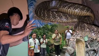 KING COBRA SA SKWELAHAN SA QUEZON 