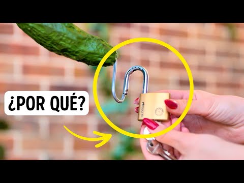 Trucos Acogedores para el Jardín en Interiores y Exteriores 🌼 ¡Perfectos para Principiantes!
