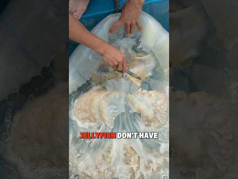 The Secret to Eating Giant Jellyfish Safely! 🥢