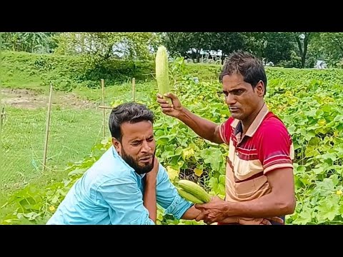 সবজি চোরি করতে গিয়ে দরা পড়ল। Bangla New Village Video 2023 |  Fa Khan