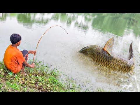 Best Fishing Video ~ Village Smart Boy Fishing With Hook ~ Traditional Hook Fishing