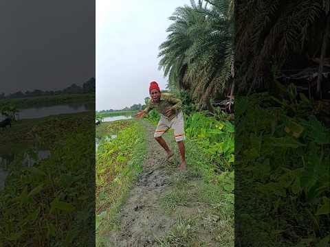 koi geli re bondhu #funny #comedy #vairal #video #🤣😂🤣😂🤣😂🤣😂🤣