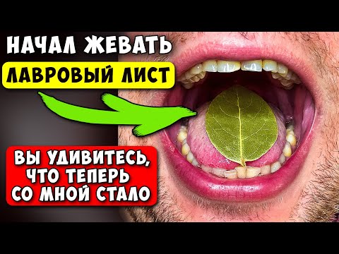 Просто начал ЖЕВАТЬ Лавровый лист по 2-3 мин! Вот что вышло через 7 дней употребления