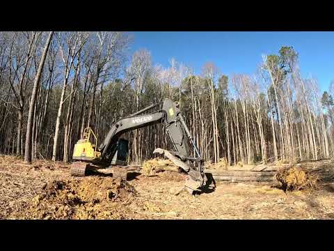 Horse Pasture Clearing Is Shaping Up! Still A Bunch Of Work To Do