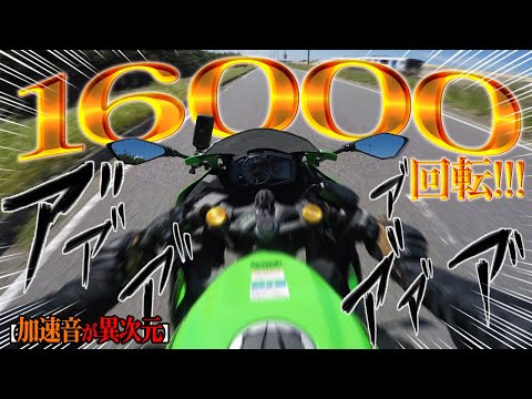 【250ccの革命】噂の『ZX-25R』が色んな意味で想像を超えてた!【超高回転エンジン】