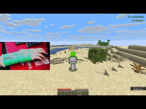 Minecraft SPEEDRUNNING In a CAST (Cast Cam)