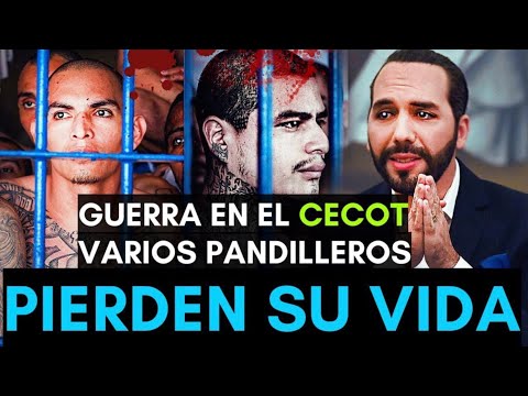 Noticias El Salvador Hoy 1 de noviembre 2024, El Salvador Noticias 31 de octubre 2024, NAYIB BUKELE