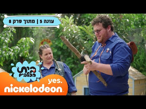 בית הכלבים 5: כפיתה מוצלבת | מתוך פרק 8 | ניקלודיאון